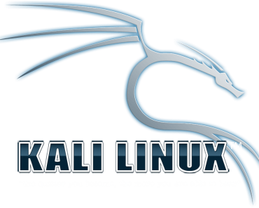 installing kali linux