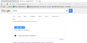 ip address using google