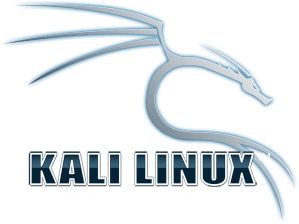 installing kali linux