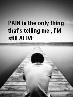 whatsapp status dp pain is the only thing that's telling me I'm still alive