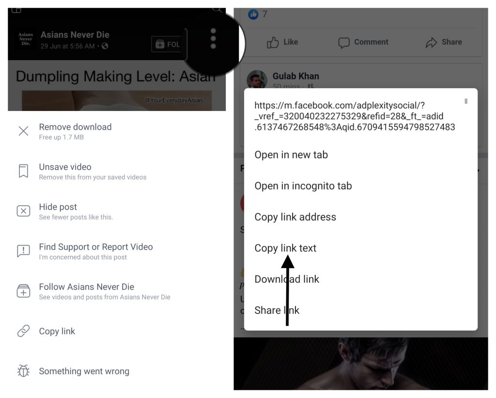 save facebook video save facebook video
