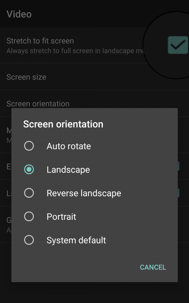 gba games advance settings